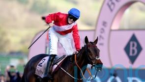 De Bromhead-trained A Plus Tard could bypass Betfair Chase engagement