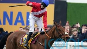 Waterford trainer Henry de Bromhead delivers racing updates on Envoi Allen and Minella Indo