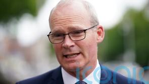 Simon Coveney: High-profile minister to step away after 13 years in Cabinet