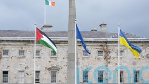 Irish Parliament suspended as protesters call for sanctions on Israel