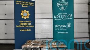 Cocaine worth 10.5m euro seized at Dublin Port