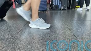 Number of immigrants at 17-year high in 12 months to April, figures suggest