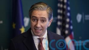 Threat of Russian influence on politics taken very seriously, Simon Harris says