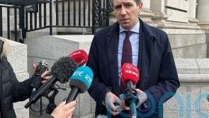 Harris discussed Irish surplus with US critic who got figure wrong – spokesman