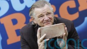 Brendan Gleeson does not regret Micheal Martin ‘moron’ outburst
