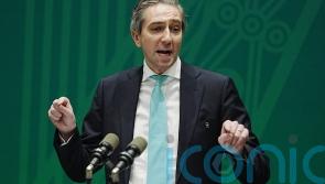 &lsquo;Very serious red flags&rsquo; with Trump&rsquo;s Board of Peace &ndash; Irish deputy premier