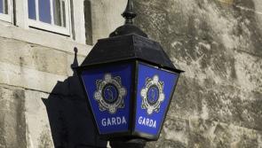 Gardai catch 600 vehicles speeding on bank holiday, one driver almost 100 kmh over the limit