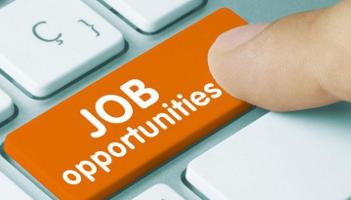 JOB ALERT: Looking for a career change in the new year? Well Waterford County Council is hiring