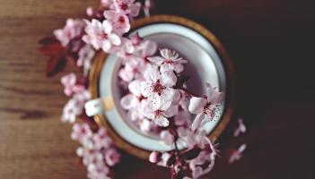 Gardening with James Vaughan: Tree Planting