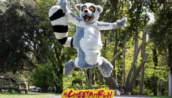 Eagle Athletic Club to run the 2021 Cheetah Run virtually to raise funds for Fota Wildlife Park