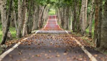 Roads reopened in Waterford