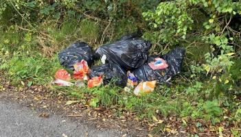 ‘Very disappointing’ - Waterford Council owed thousands as dumping fines remain unpaid