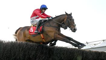 Willie Mullins star horses among favourites at New Year's Day races in Tramore