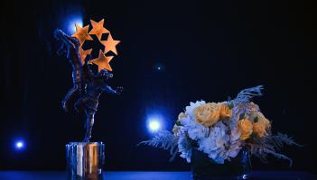 Waterford football stars shine with hat-trick of TG4 All-Star nominations