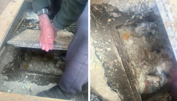 ‘Extremely distressing’ - Waterford pensioners in panic amid bursting water pipes