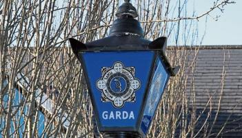 Garda&iacute; in Waterford seek help in identifying 'two youths' following criminal damage incidents