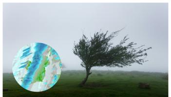 Strong gale force winds on the way as two counties hit with weather warnings