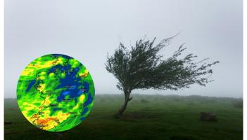 Torrential conditions forecast for weekend ahead as Waterford hit with weather warning