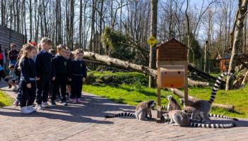 Waterford schools encouraged to take part in competition to win free entry to Emerald Park