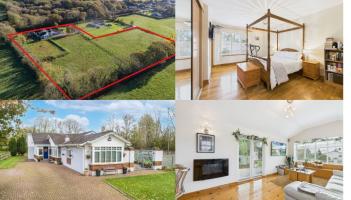 PICTURES: Home of 'rare' quality featuring horse paddocks on sale in Waterford for just under &euro;700K