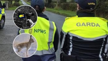 LONG READ: Inside the 'seasonal scourge' terrorising rural landowners across Waterford