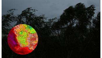 Snow, strong winds and heavy rain on the way as five counties brace for weather warnings