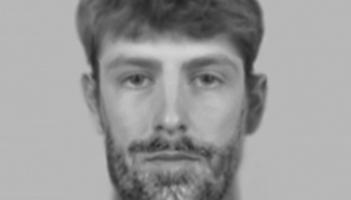 Garda&iacute; hunt man caught on stairs of Waterford home on Christmas Eve as family slept