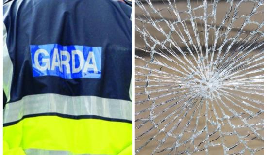 Waterford garda&iacute; appeal after car and house windows smashed in weekend vandalism spree