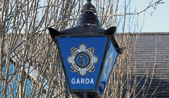 Garda&iacute; in Waterford seek help in identifying 'two youths' following criminal damage incidents