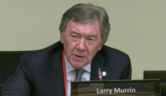 Waterford councillors call for resignation of Bord Bia chair over Brazilian beef scandal