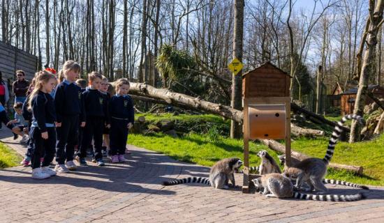 Waterford schools encouraged to take part in competition to win free entry to Emerald Park