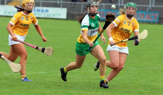 Camogie star working in Waterford felt 'fittest ever' before cardiac arrest at 27