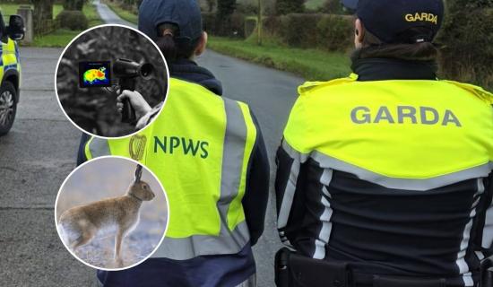 LONG READ: Inside the 'seasonal scourge' terrorising rural landowners across Waterford