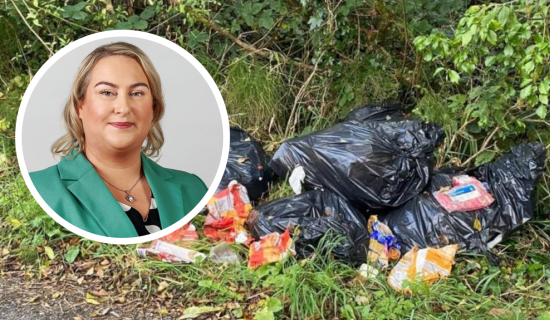 &lsquo;Absolutely disgraceful&rsquo; - Waterford residents being &lsquo;hit hard&rsquo; by illegal dumping