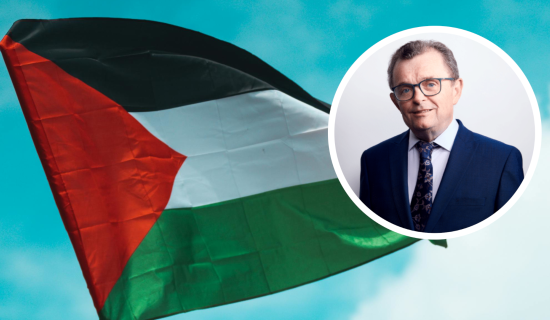 Calls for more signs to be erected in Waterford in recognition of Palestinian city