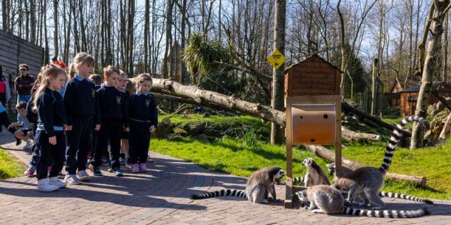 Waterford schools encouraged to take part in competition to win free entry to Emerald Park