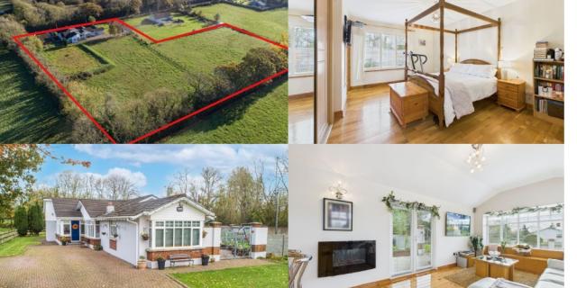 PICTURES: Home of 'rare' quality featuring horse paddocks on sale in Waterford for just under &euro;700K