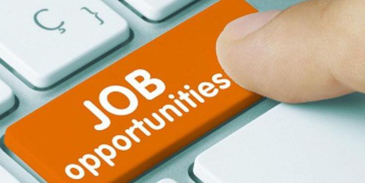 JOBS: Waterford City & County Council hiring for eight jobs including seasonal staff