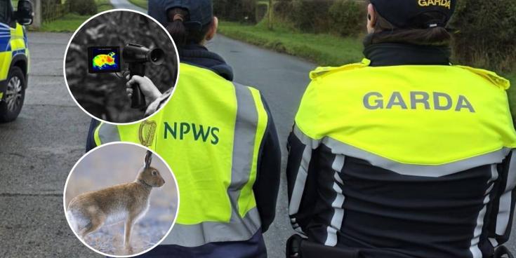 LONG READ: Inside the 'seasonal scourge' terrorising rural landowners across Waterford