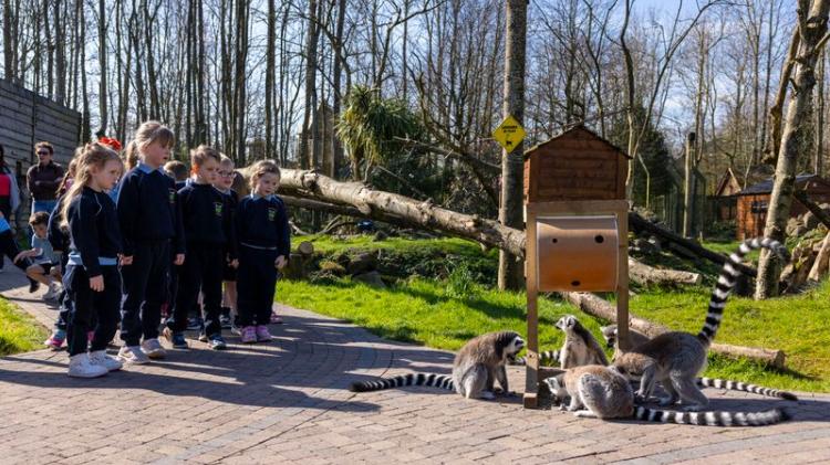 Waterford schools encouraged to take part in competition to win free entry to Emerald Park