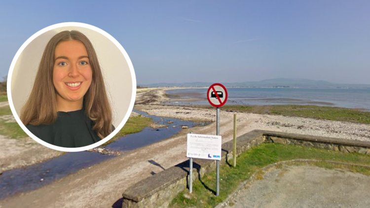 Calls for urgent action amid &lsquo;alarming level of erosion&rsquo; on Waterford beach