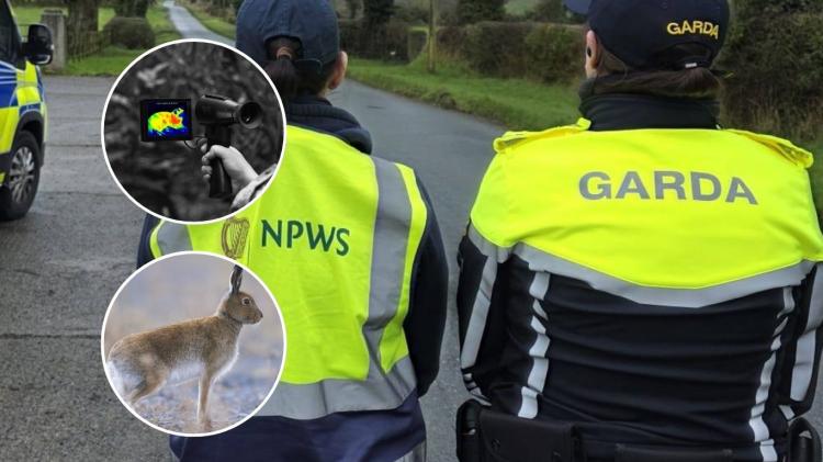 LONG READ: Inside the 'seasonal scourge' terrorising rural landowners across Waterford