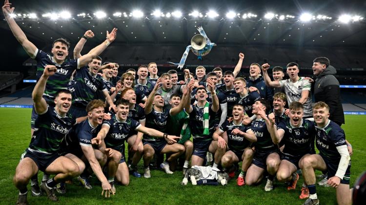 Big honour for rising Waterford hurling star with Fitzgibbon Cup Team of the Year spot