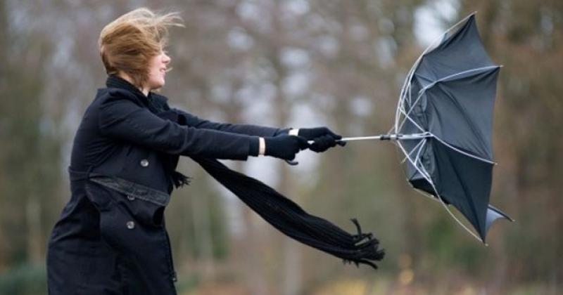 ALERT: Status Yellow gale warning issued for Waterford 