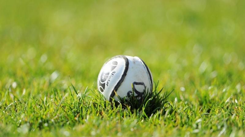 Permission granted for development of Waterford hurling club