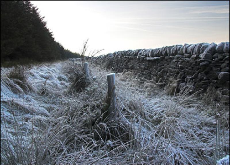 Met Eireann weather forecast for the coming days - See what the weather forecast is for the coming weekend