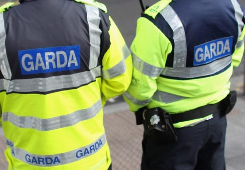 Gardai to receive bravery medals 38 years after freeing IRA captive 