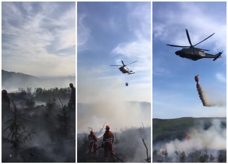 Waterford Fire Service issue warning as drought sparks fire fears 