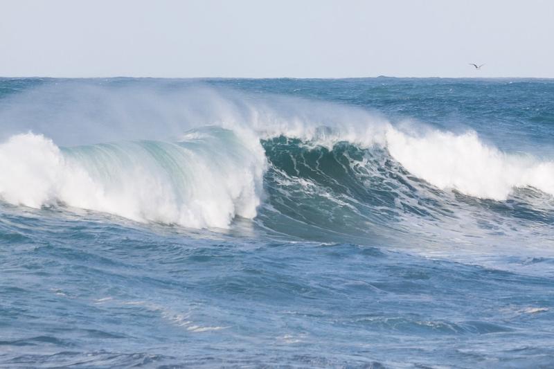 OPW approves over €80,000 for Waterford coastal study