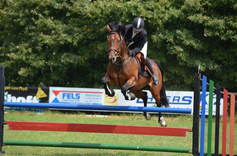 Waterford’s Anthony Condon named in Irish Show Jumping squad for Longines FEI Nations Cup series at Hickstead